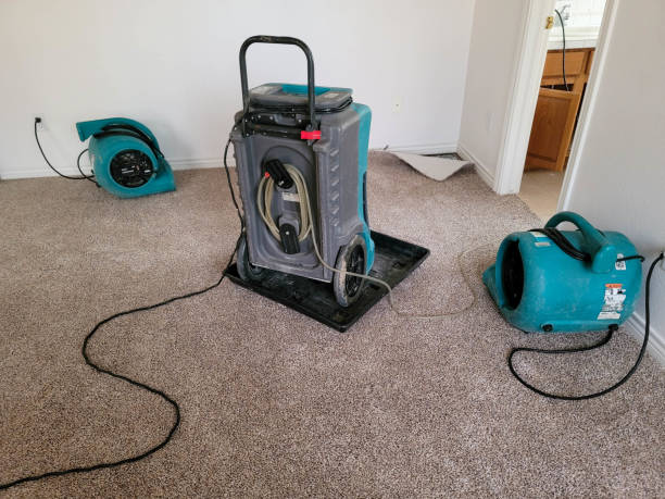 Best 24/7 water damage repair  in Shelby, MS