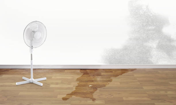 Best Sewage cleanup and water damage restoration  in Shelby, MS