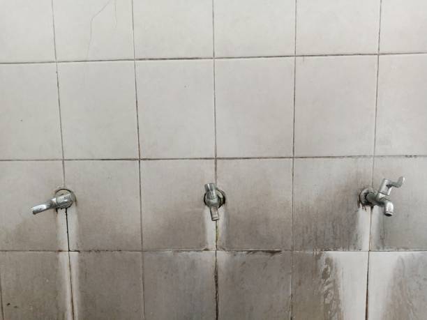 Best Water damage contractors near me  in Shelby, MS