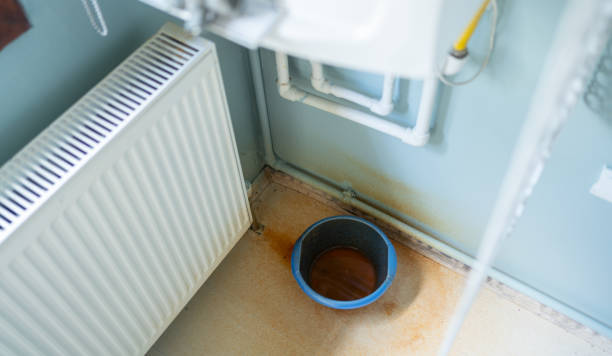 Best Professional water damage repair  in Shelby, MS