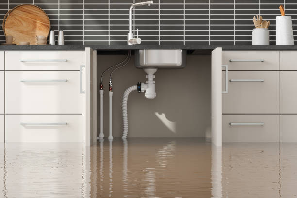 Best Mold removal after water damage  in Shelby, MS