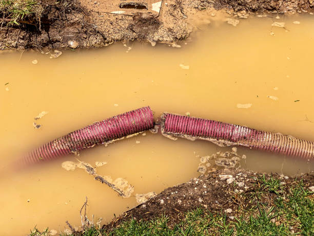 Water damage restoration mold remediation in Shelby, MS