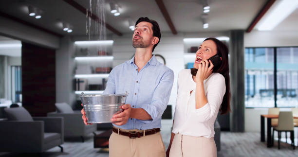  Shelby, MS Water damage restoration Pros