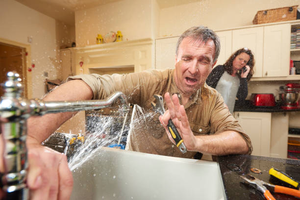 Best Water damage restoration company  in Shelby, MS